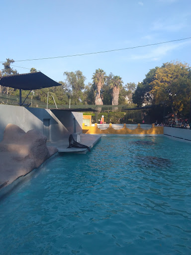 Parque Zoológico Benito Juárez