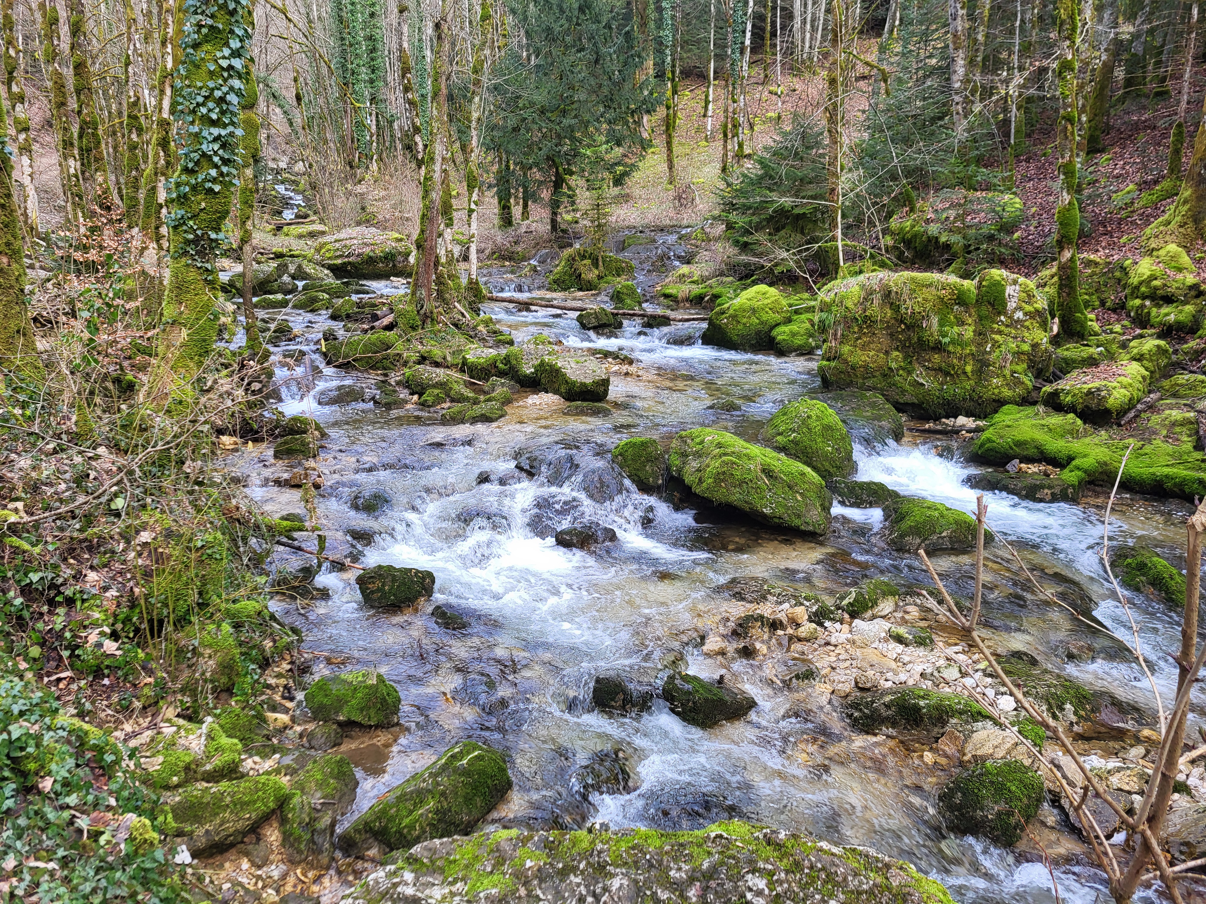 Photo n° 6 de l'avis de Thierry.R fait le 15/02/2024 à 17:48