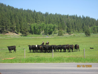 Davis Cattle Co Inc
