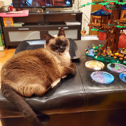 23-54 Steinway St, Queens, NY 11105, USA