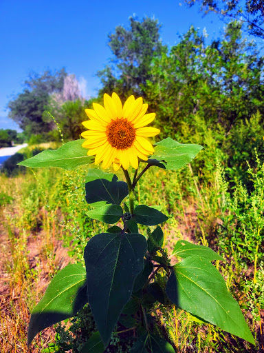 Park «Wildflower Park», reviews and photos, 980 Nolte Dr N, Colorado Springs, CO 80916, USA