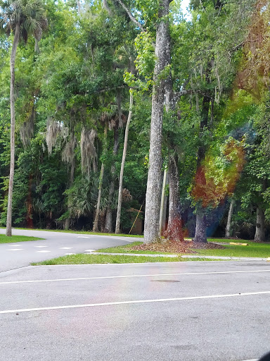 Park «Big Tree Park», reviews and photos, 761 General Hutchison Pkwy, Longwood, FL 32750, USA