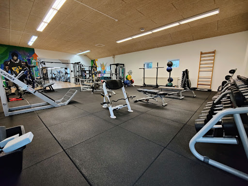 Tinglev Fitness in Tinglev, Aabenraa