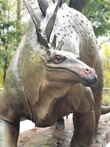 Planetarium «Fernbank Science Center», reviews and photos, 156 Heaton Park Dr, Atlanta, GA 30307, USA