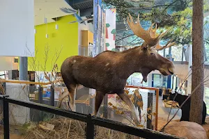 Killbear Provincial Park Discovery Centre image