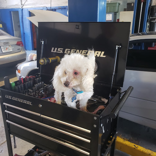 Auto Repair Shop «Honka Auto Repairs», reviews and photos, 1266 Court St, Clearwater, FL 33756, USA