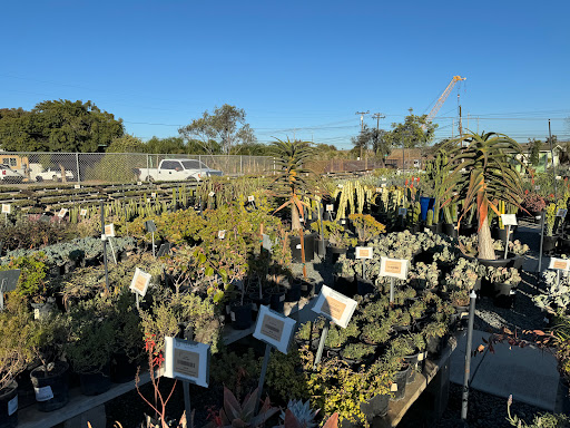 Terra Bella Nursery, Inc. image