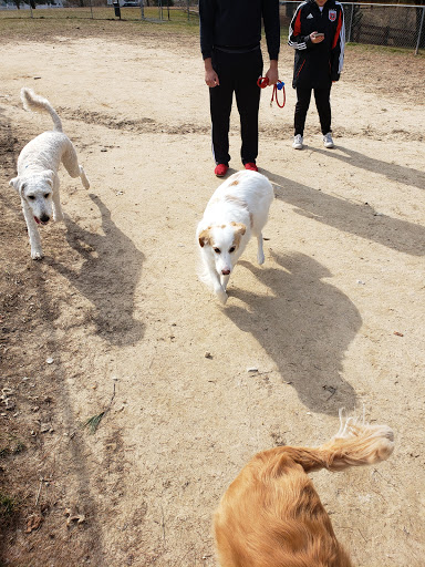 Dog Park «Quail Run dog park», reviews and photos, Severn Tree Blvd, Severn, MD 21144, USA
