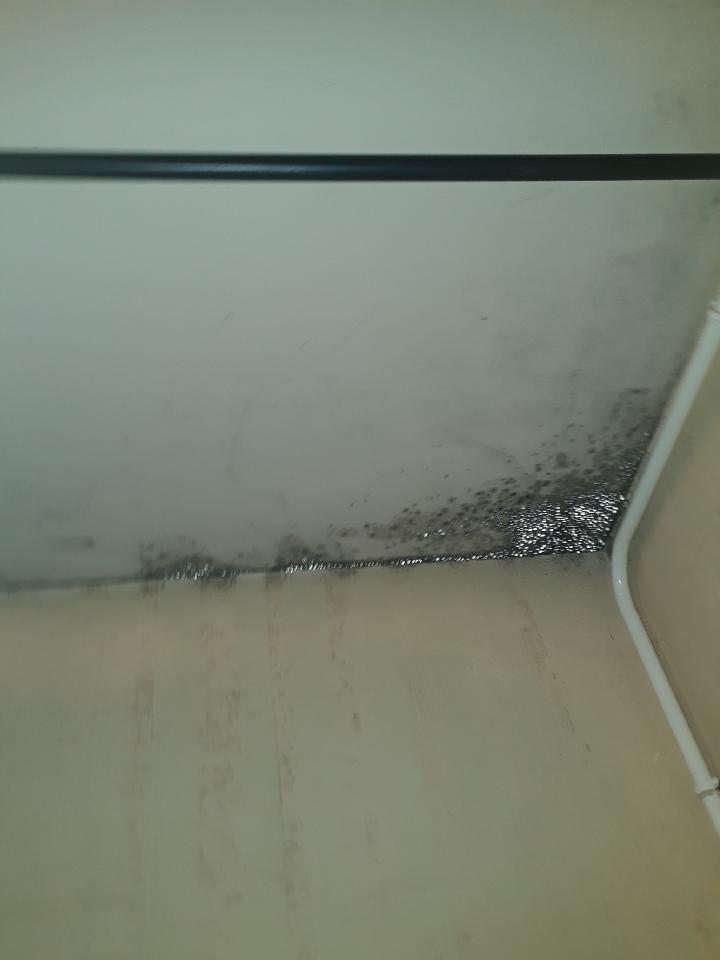 Photo n° 3 de l'avis de Aurellk.4 fait le 23/12/2023 à 16:19