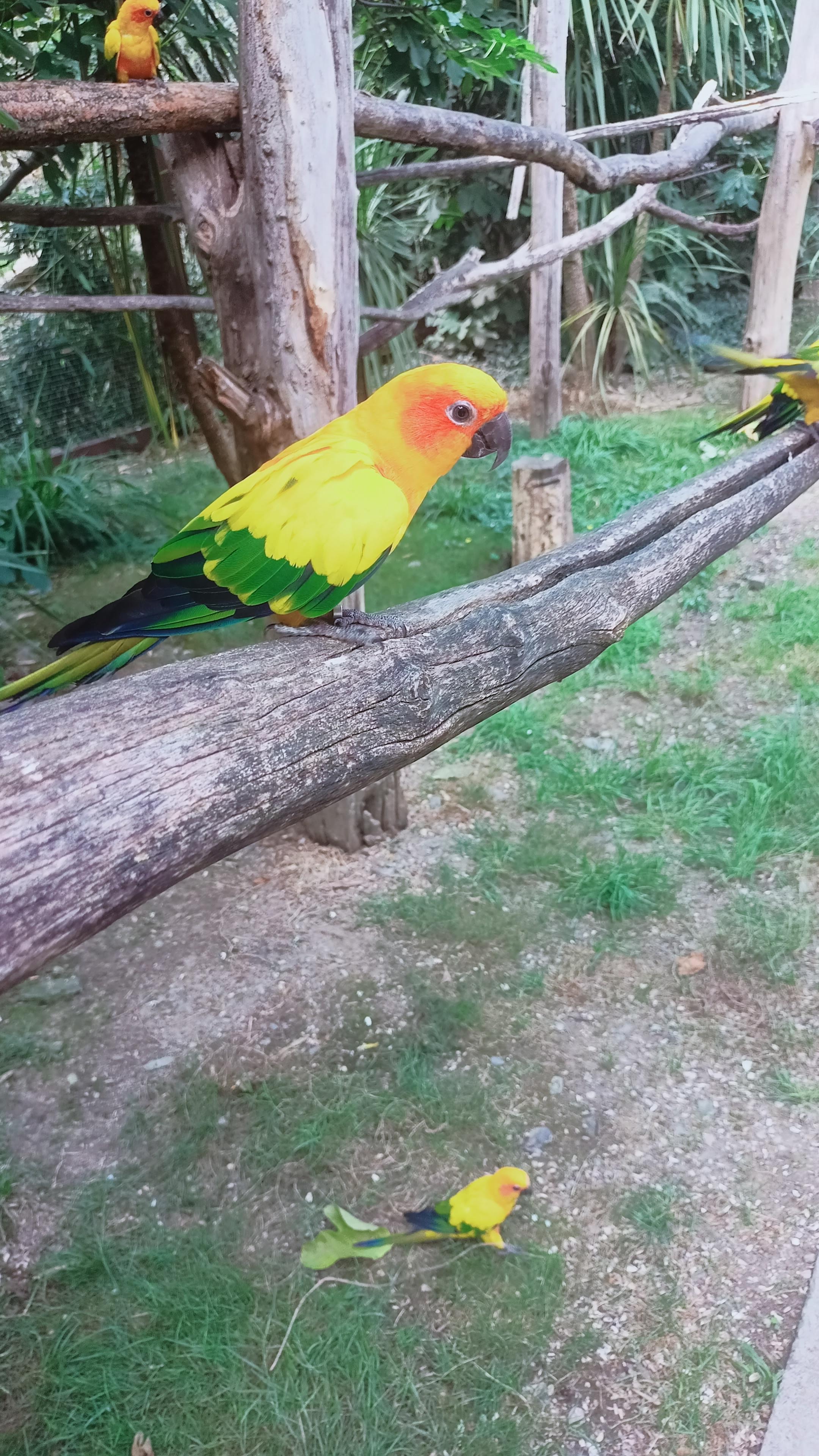 Photo n° 3 de l'avis de Tiffany.a fait le 20/08/2022 à 22:01