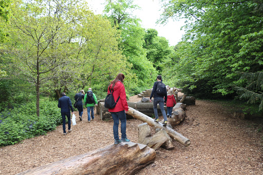 Kew Gardens Log Trail