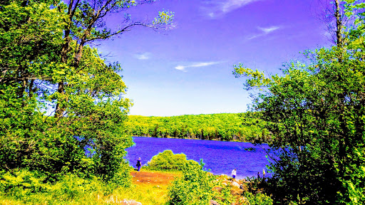 National Forest «Green Mountain and Finger Lakes National Forests», reviews and photos, 231 N Main St, Rutland, VT 05701, USA