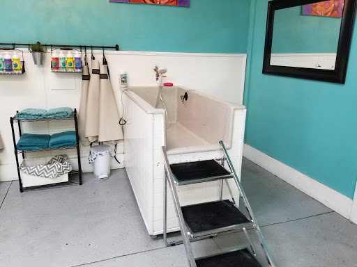 Pet Supply Store «Health Mutt», reviews and photos, 6116 N Central Ave, Tampa, FL 33604, USA