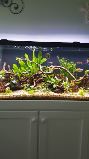 Pet Supply Store «Coastline Pet Supply», reviews and photos, 3530 Northgate Dr, Myrtle Beach, SC 29588, USA