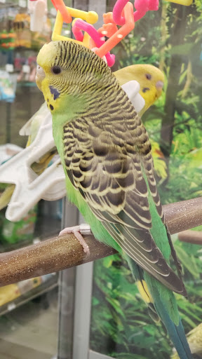 Pet Supply Store «Petco Animal Supplies», reviews and photos, 6720 Fox Centre Pkwy, Gloucester Courthouse, VA 23061, USA