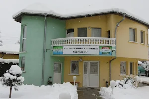 Veterinary clinic "Sevlievo" image