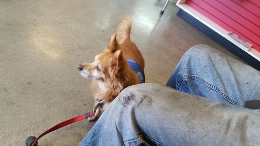 Pet Supply Store «Pet Supreme», reviews and photos, 12823 Foothill Blvd, Sylmar, CA 91342, USA