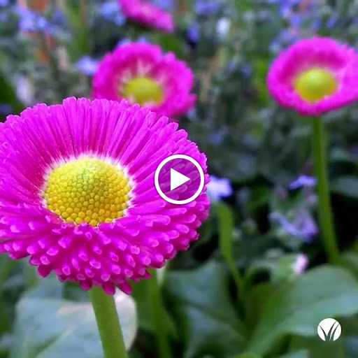 118 W Central Ave, Winter Haven, FL 33880, USA