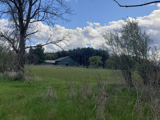 Nature Preserve «Leonard Preserve», reviews and photos, N Union St, Manchester, MI 48158, USA