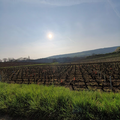 Cheilly-les-Maranges à Cheilly-lès-Maranges
