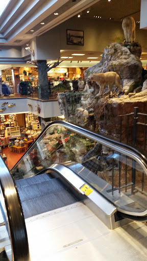 Sporting Goods Store «Bass Pro Shops», reviews and photos, 300 Cincinnati Mills Dr, Cincinnati, OH 45240, USA