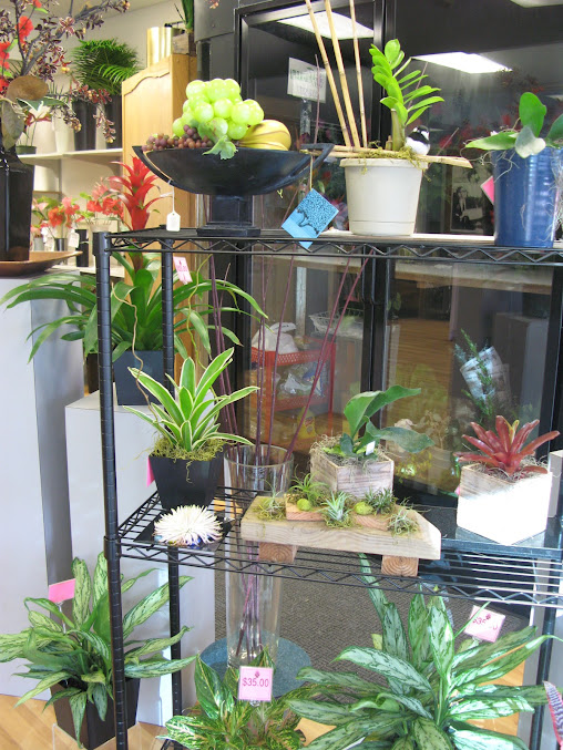 Reviews Fujikami Florist Honolulu Official Site (Florist) in Hawaii