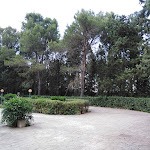 Photo n°17 de l'avis de Donatangelo.o fait le 23/06/2019 à 17:55 sur le  Ciacco E Bacco - Ristorante e Sala Ricevimenti à Gravina in Puglia