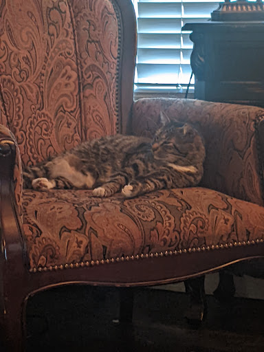 Tattoo Shop «Seventh Seal Tattoo», reviews and photos, 921 Jenks Ave, Panama City, FL 32401, USA