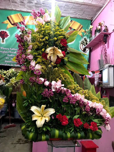 Floreria Lupita – Rincón de Romos