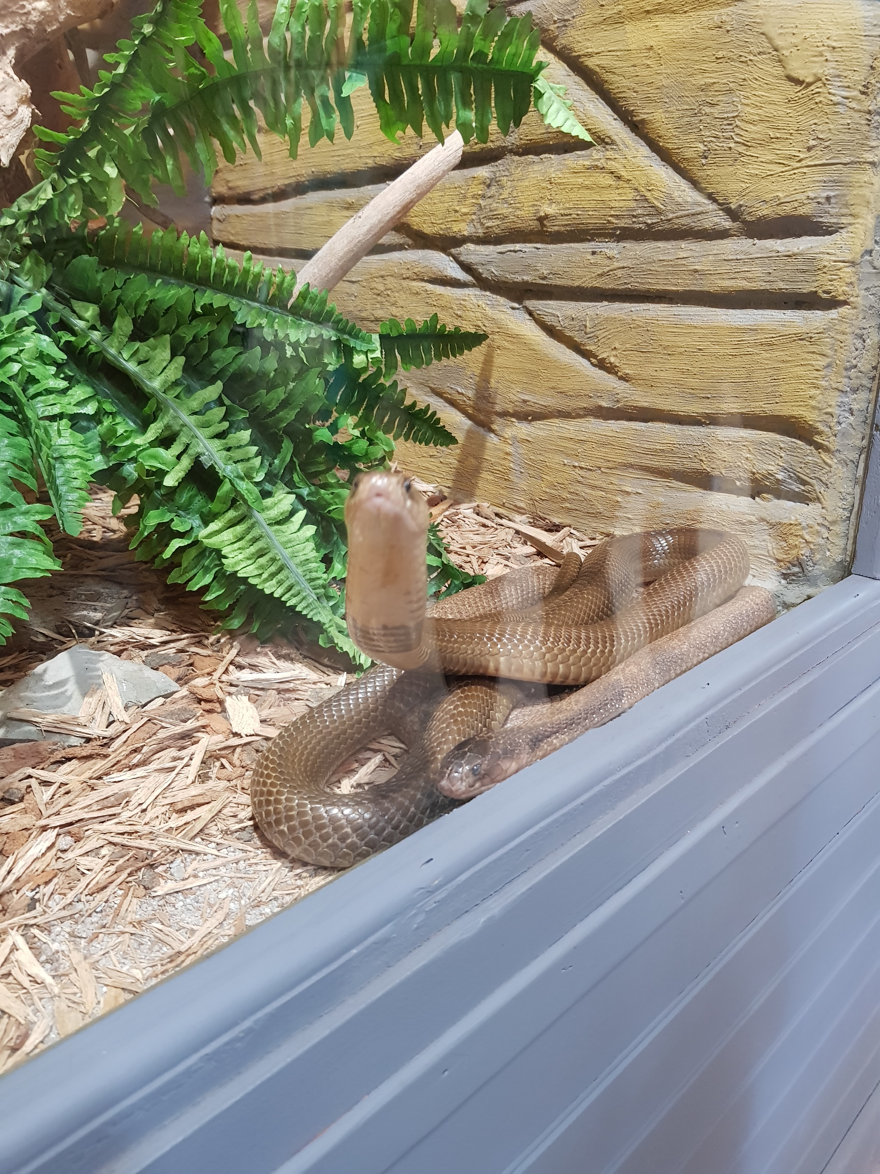 Photo n° 10 de l'avis de Lala.a fait le 24/08/2020 à 19:44