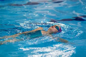 Nauka pływania AQUAMANIA, rehabilitacja w wodzie, Aqua Fitness image