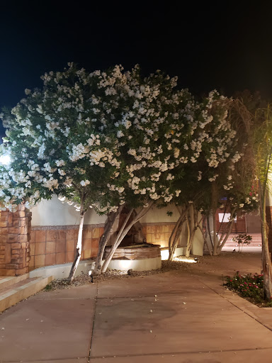 Wedding Venue «Bella Rose Estate», reviews and photos, 1380 S Price Rd, Chandler, AZ 85286, USA