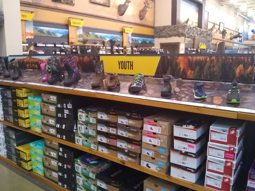 Cabela's