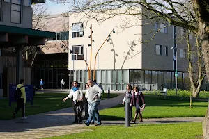 Mary Immaculate College image