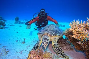 Diving Hurghada club image