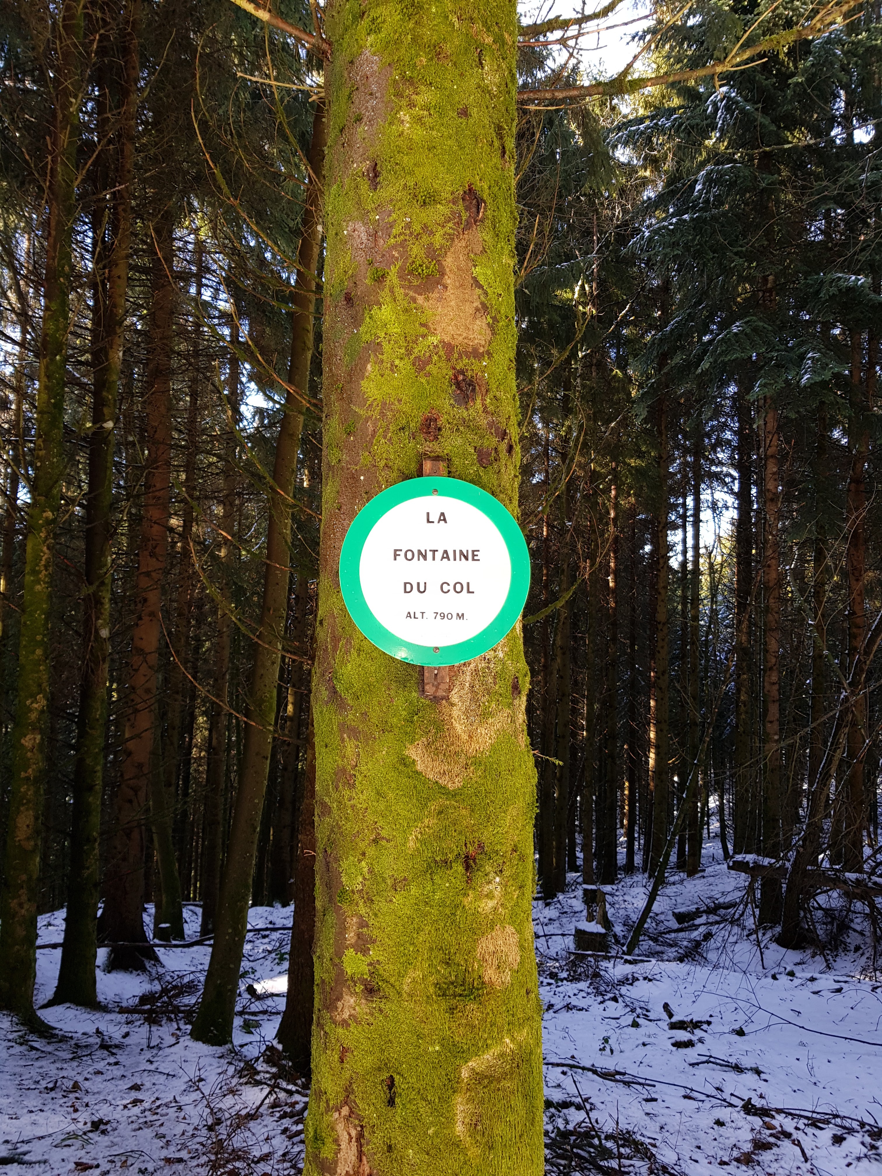 Photo n° 11 de l'avis de Celine.V fait le 03/03/2019 à 12:14