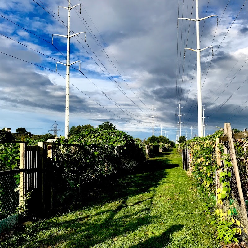 Jonesville Allotment Gardens