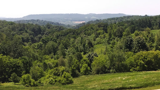 Winery «Tenba Ridge Winery», reviews and photos, N27587 Joe Coulee Rd, Blair, WI 54616, USA