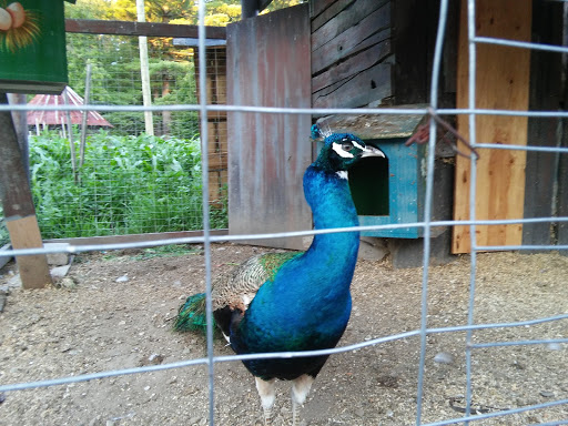 Amusement Park «Canobie Lake Park», reviews and photos, 85 N Policy St, Salem, NH 03079, USA
