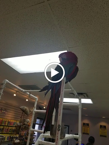 Car Wash «Paradise Full Service Car Wash & Detail Center», reviews and photos, 14324 Huntington Ave, Savage, MN 55378, USA