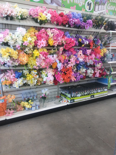 Dollar Store «Dollar Tree», reviews and photos, 1238 S Magnolia Ave, Anaheim, CA 92804, USA