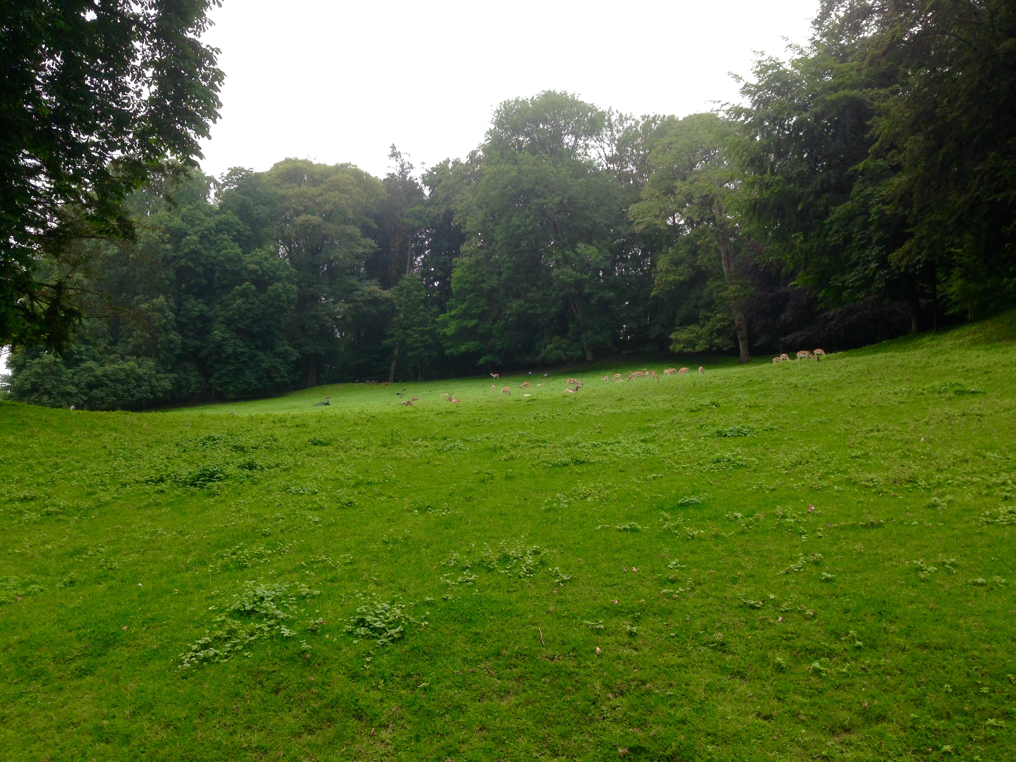 Photo n° 17 de l'avis de John.a fait le 10/06/2018 à 18:52