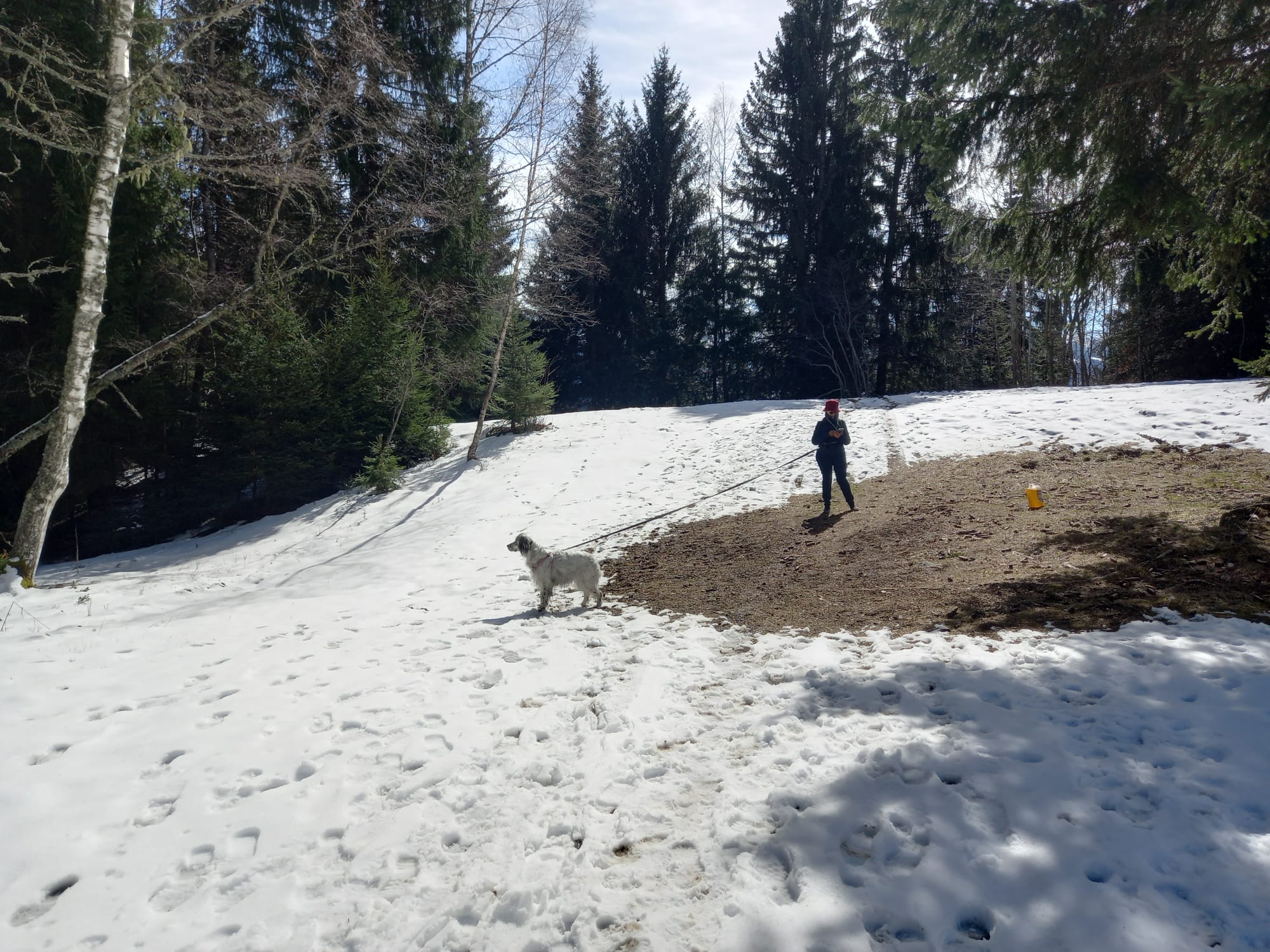 Photo n° 5 de l'avis de Françoise.o fait le 17/03/2023 à 06:25