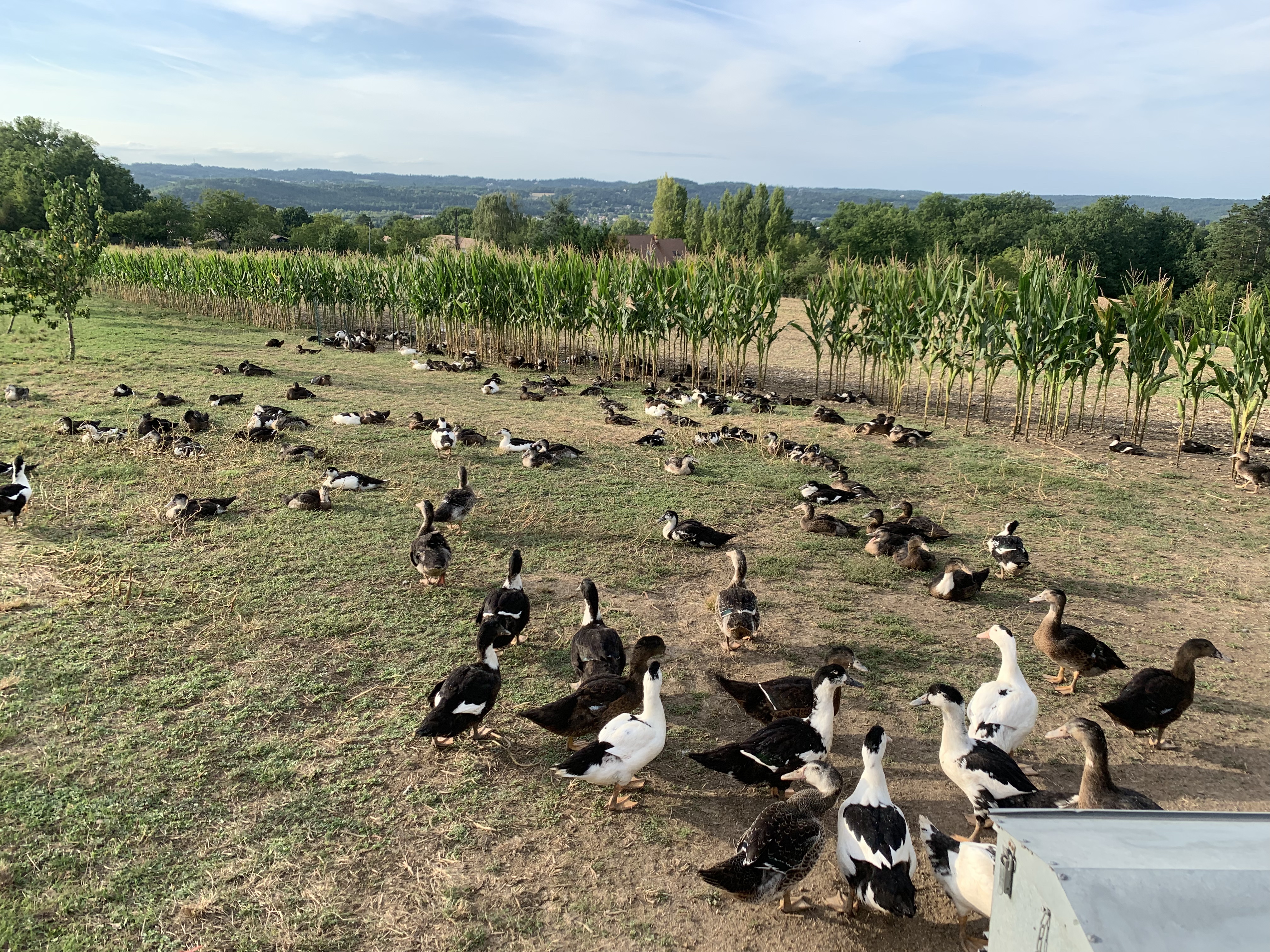 Photo n° 1 de l'avis de bruno.s fait le 15/08/2023 à 19:34