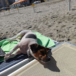 Photo n°3 de l'avis de Valerie.a fait le 23/09/2023 à 09:17 sur le  Grand Hotel Azzurra Club à Lido Adriano