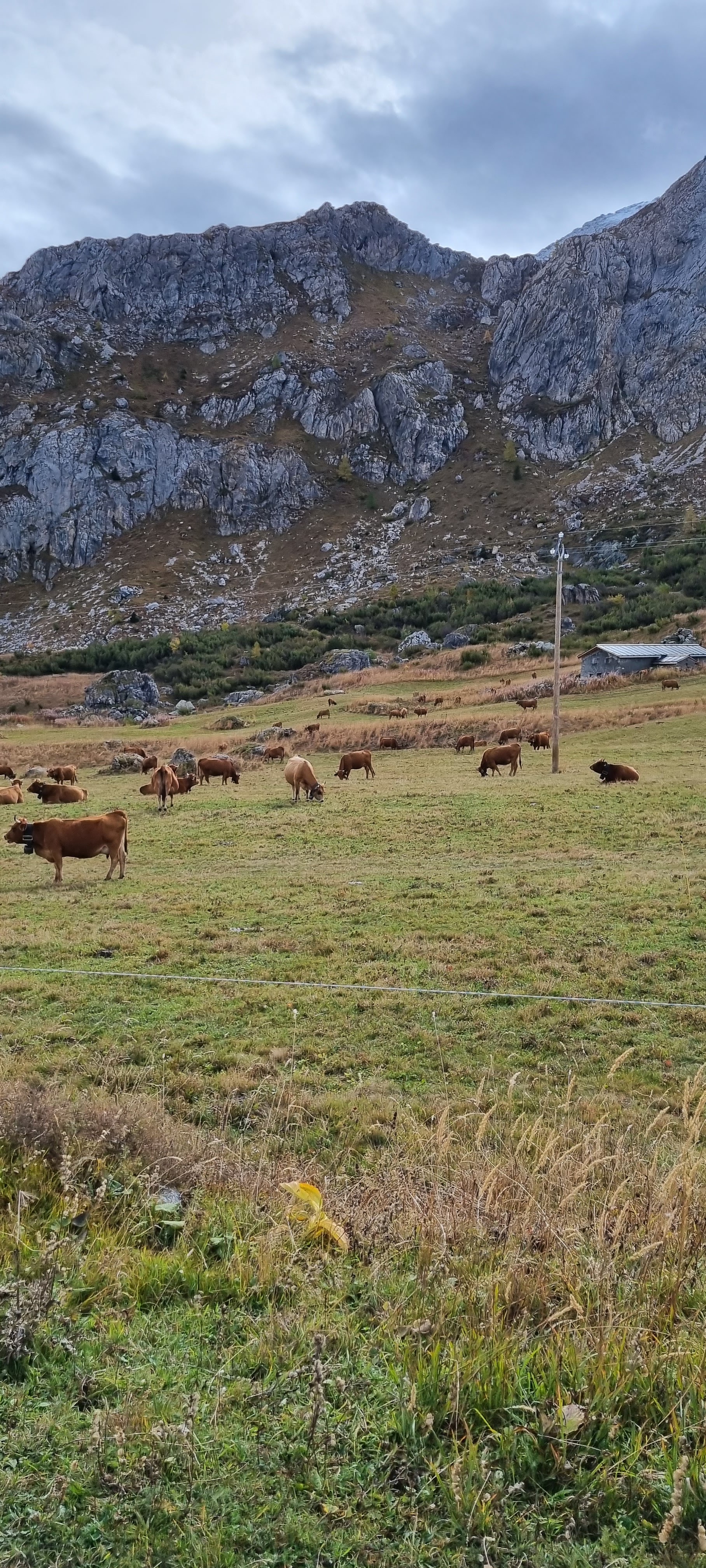 Photo n° 2 de l'avis de Raymond.a fait le 24/10/2023 à 19:44