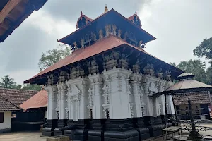 Kaduthuruthy Thaliyil Shri Mahadeva Temple image