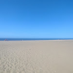 Photo n°2 de l'avis de Alessandro.i fait le 27/04/2022 à 10:52 sur le  Spiaggia Libera Castel Porziano - Cancello 2 à Rome