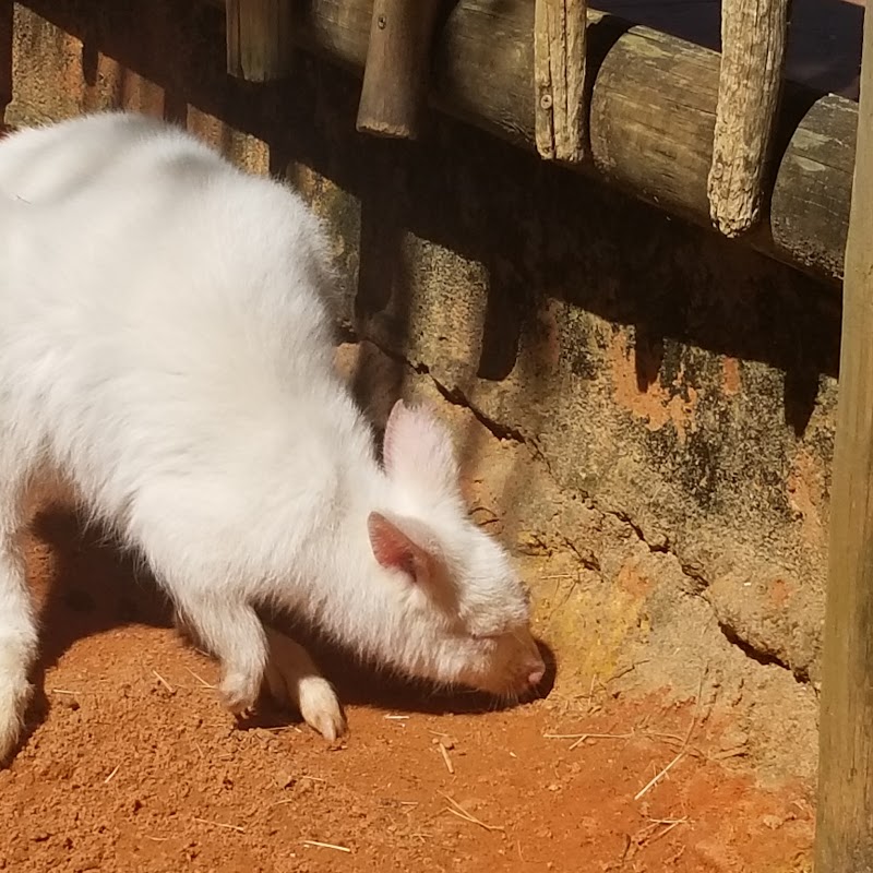 Busch Gardens Animal Care Center