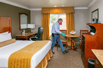 OC Total Pest Control - Photo 2 - Car repair in , Mission Viejo